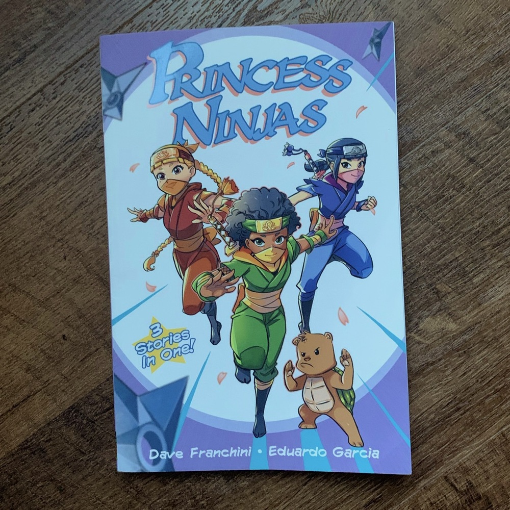 Princess Ninjas Graphic Novel